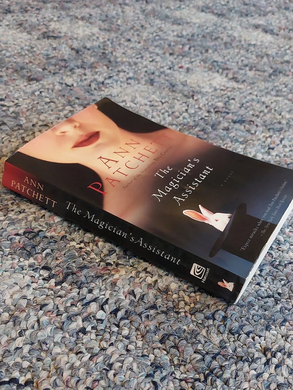 😮 3/$10! The Magician's Assistant Book